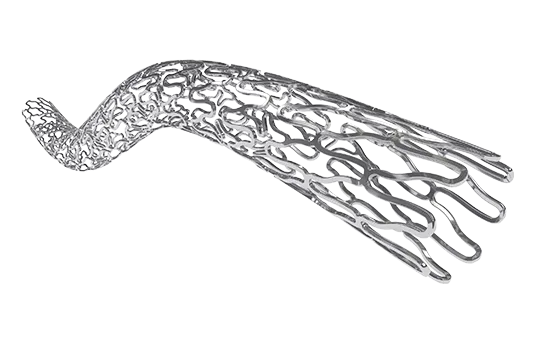BioMime™ Sirolimus-Eluting Coronary Stent System