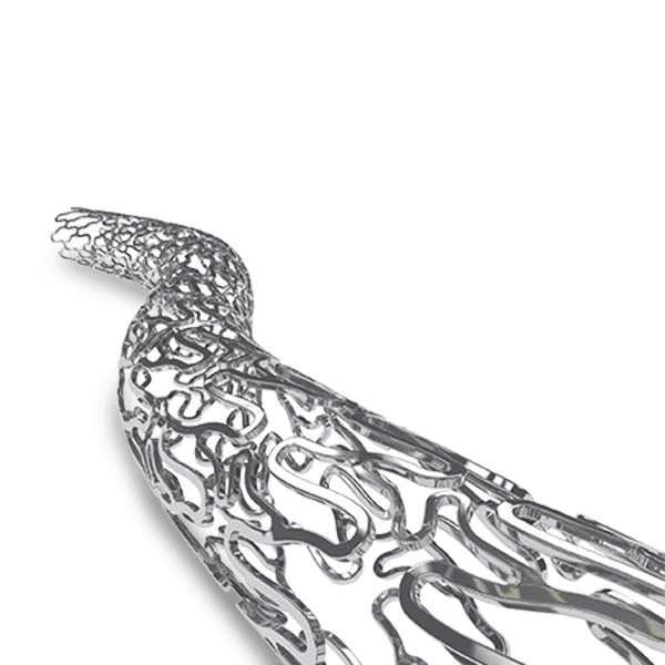 BioMime Aura™ Sirolimus-Eluting Coronary Stent System