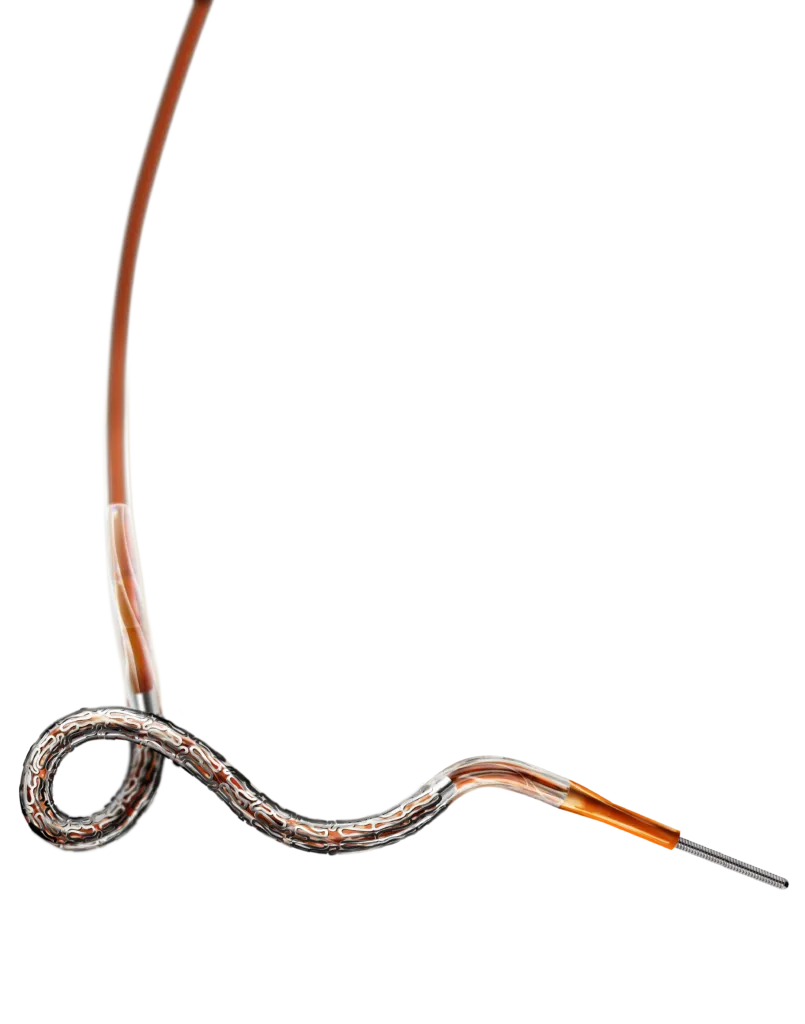Evermine50™ Everolimus-Eluting Coronary Stent System