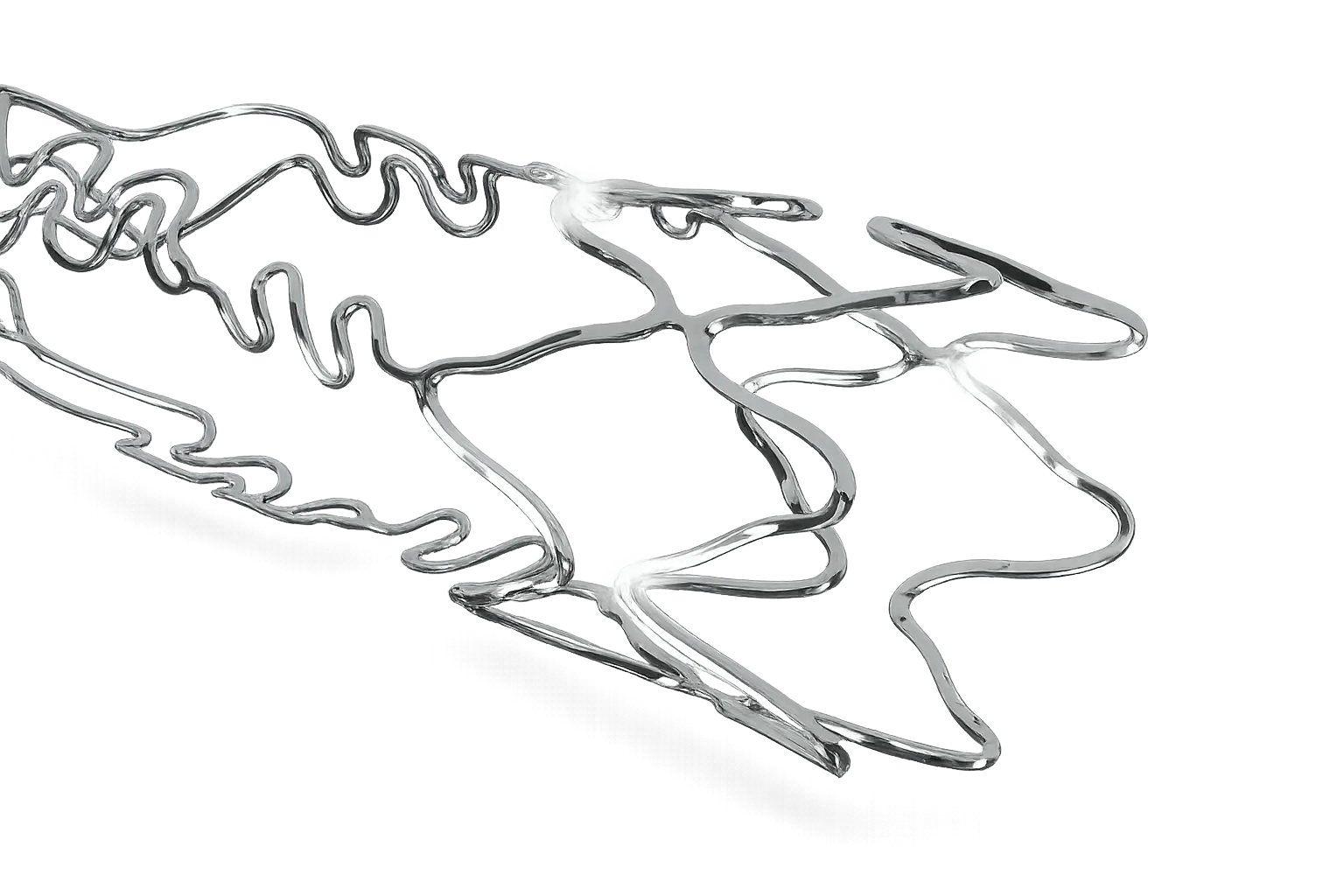 BioMime™ Branch Sirolimus Eluting Coronary Stent System