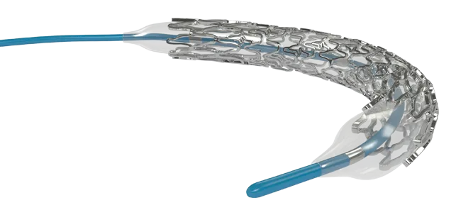Myra™ BMS peripheral stent system