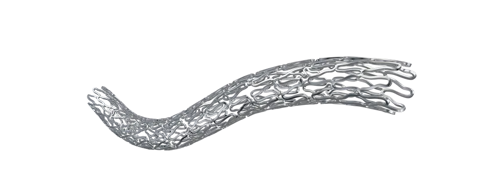 BioMime™ Morph Sirolimus-Eluting Coronary Stent System