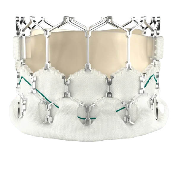 Myval™ Transcatheter Heart Valve (THV)